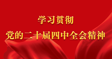 学习贯彻党的二十届四中全会精神